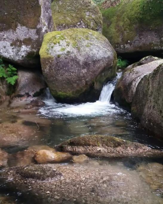Cantinho Da Pereira Lugar Екстер'єр фото